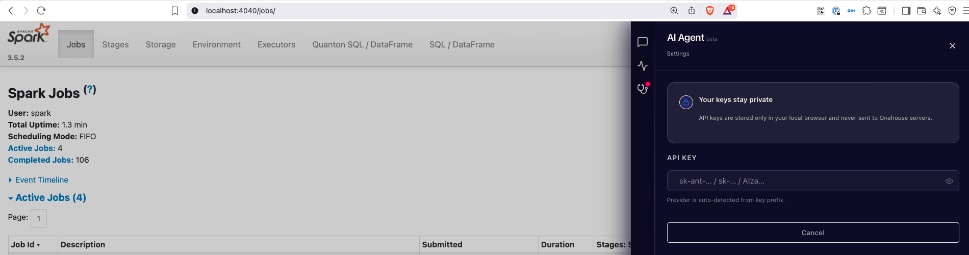 Agent settings — API key entry